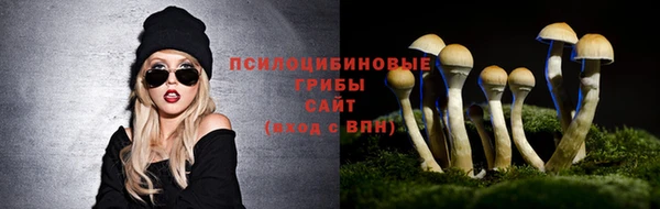 эйфоретик Каменка