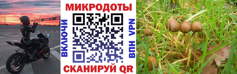 Псилоцибиновые грибы прущие грибы  Купить закладки  Приволжский 