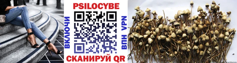 Галлюциногенные грибы мухоморы Приволжский